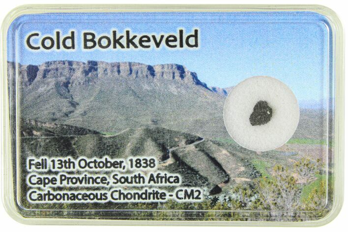 Carbonaceous Chondrite Fragment ( g) - Cold Bokkeveld #285970